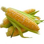 Local Produce 8.1.18 – 8.31.18