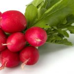 Local Produce 8.1.18 – 8.31.18