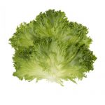 Produce Specials 8.9.18 – 8.23.18