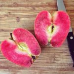 February Specialty Produce 2.4.19 – 2.28.19
