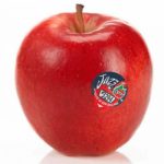 February Specialty Produce 2.4.19 – 2.28.19