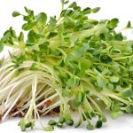 Produce Specials for 3.15.19 – 3.28.19