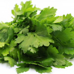 Lent Produce Specials 2.25.19 – 4.20.19