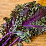 Specialty Produce for 3.1.19 – 3.28.19