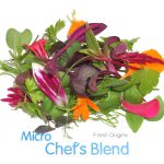 Specialty Produce for 3.1.19 – 3.28.19