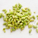 February Specialty Produce 2.4.19 – 2.28.19