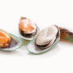 Lent Specials 2.25.19 – 4.20.19